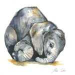 Louise K. Tucker watercolours