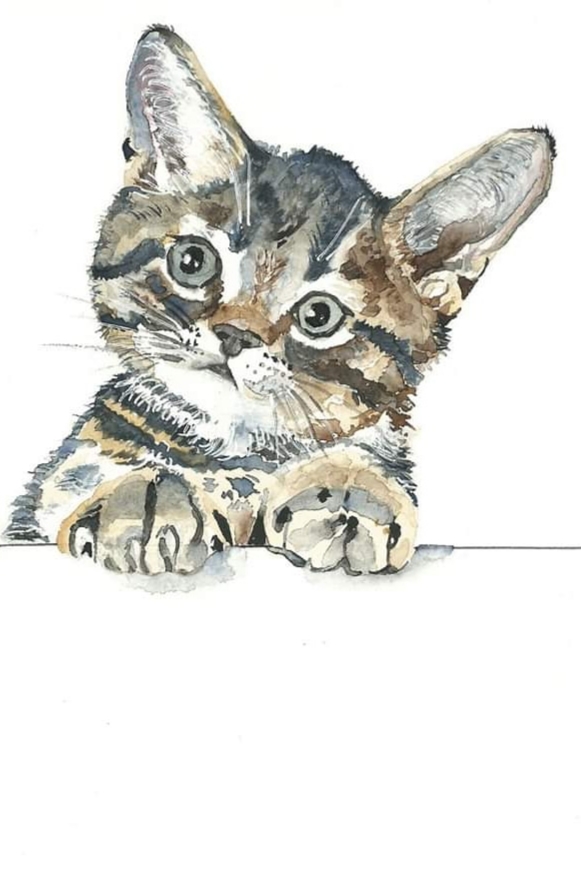 Searching for cuteness