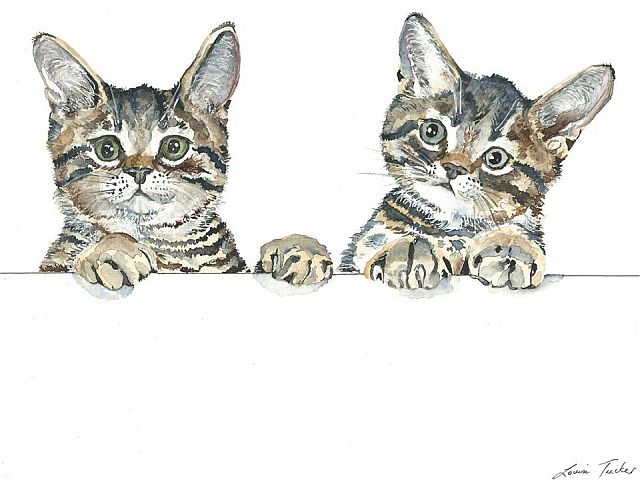 A picture of two kittens peeping over a wall