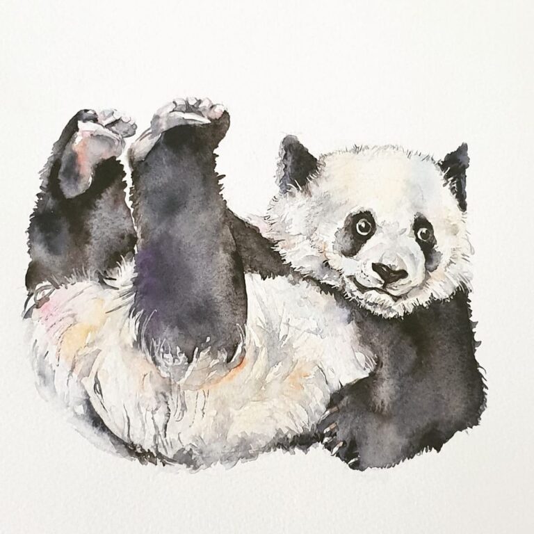 A watercolour painting of a young panda playing