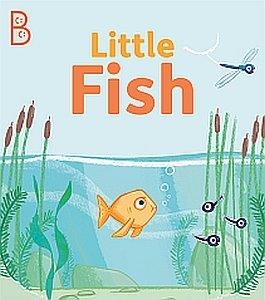 Book Cover - Little Fish by Louise K. Tucker