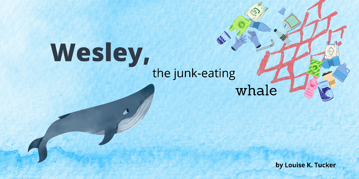 A picture of a humpback whale eyeing ocean rubbish.